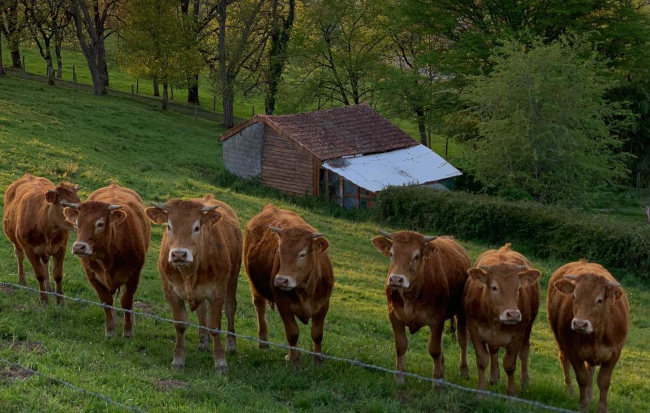 Questions diverses - Un Nouvel Elan pour Thiviers