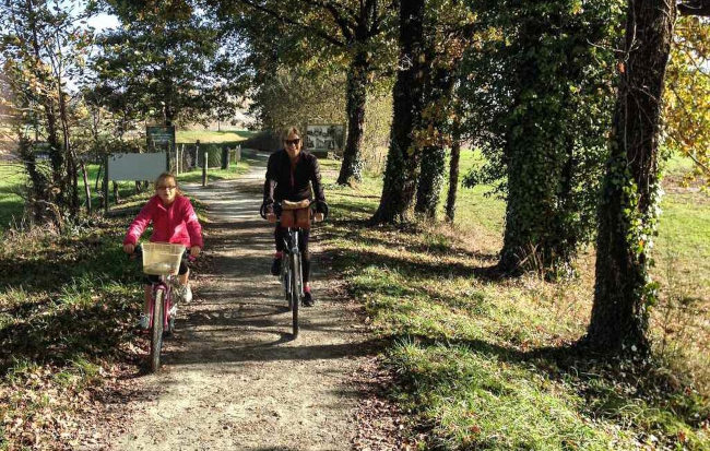 Projet Végétalisation - Nouvel Elan pour Thiviers